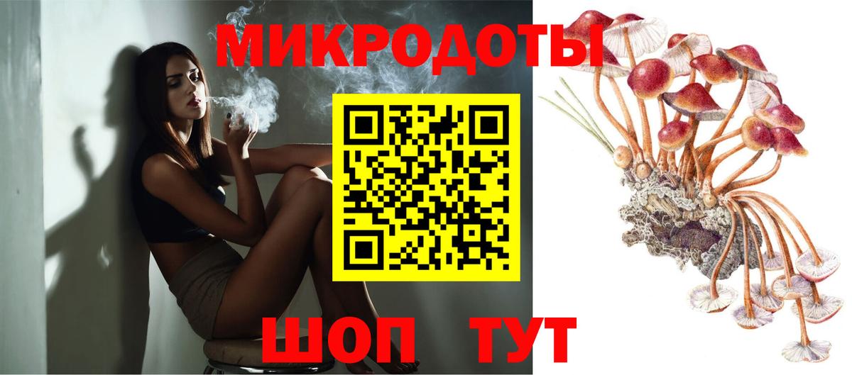 купить закладку  Псилоцибиновые грибы MAGIC MUSHROOMS  Вход с VPN  Нерюнгри 