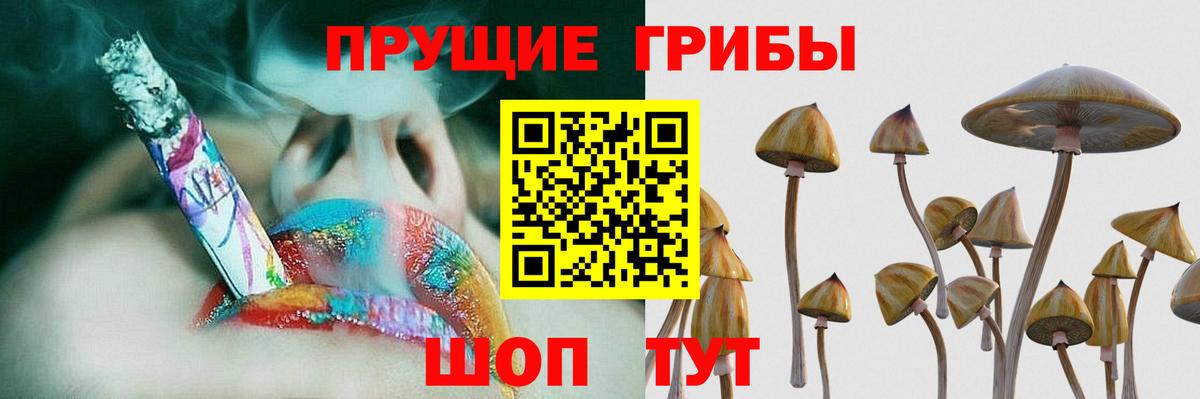 Псилоцибиновые грибы мицелий Нерюнгри